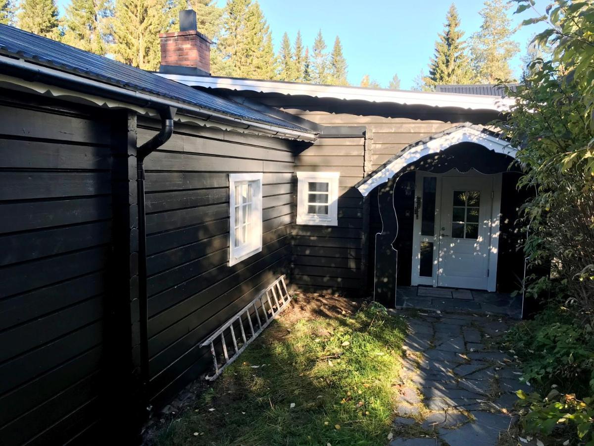 Valkojan Naturby - Timber Cottages Вемдален Екстер'єр фото