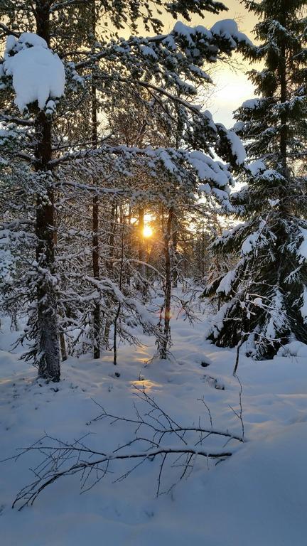 Valkojan Naturby - Timber Cottages Вемдален Екстер'єр фото